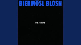 Video thumbnail of "Biermösl Blosn - Kenia ken i aa"