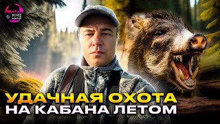 Охота на кабана летом | Нападение свиньи | Новинка от Arkon ⚡