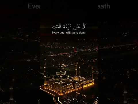 كلنا مهما طال الزمان إلى الله راجعون إحسن عملك