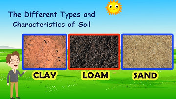 SCIENCE 4 |Types of Soil and Its Characteristics