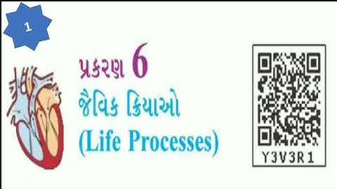 Std 10 science ch 6 | જૈવિક ક્રિયાઓ | life process in Gujarati