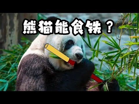 【瑪の科普】蚩尤的坐騎是神獸熊貓？而且這玩意還能吃鐵！