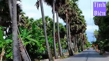 Hàng Thốt Nốt vua Tịnh Biên An Giang