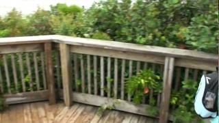 20090823 2 BridgeView