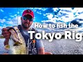 Does the Tokyo Rig Catch Giant Bass?? - How to Fish the Tokyo Rig - Bass Fishing