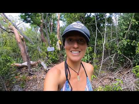 MANJACK Cay has it all 🌴🤿 🐠⛵ | Cruising the Bahamas [Ep 171]