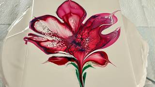 159. Red Rules in this Side Bloom🌹| Fluid Art Acrylic Paint Pouring