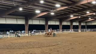 IMG 0179