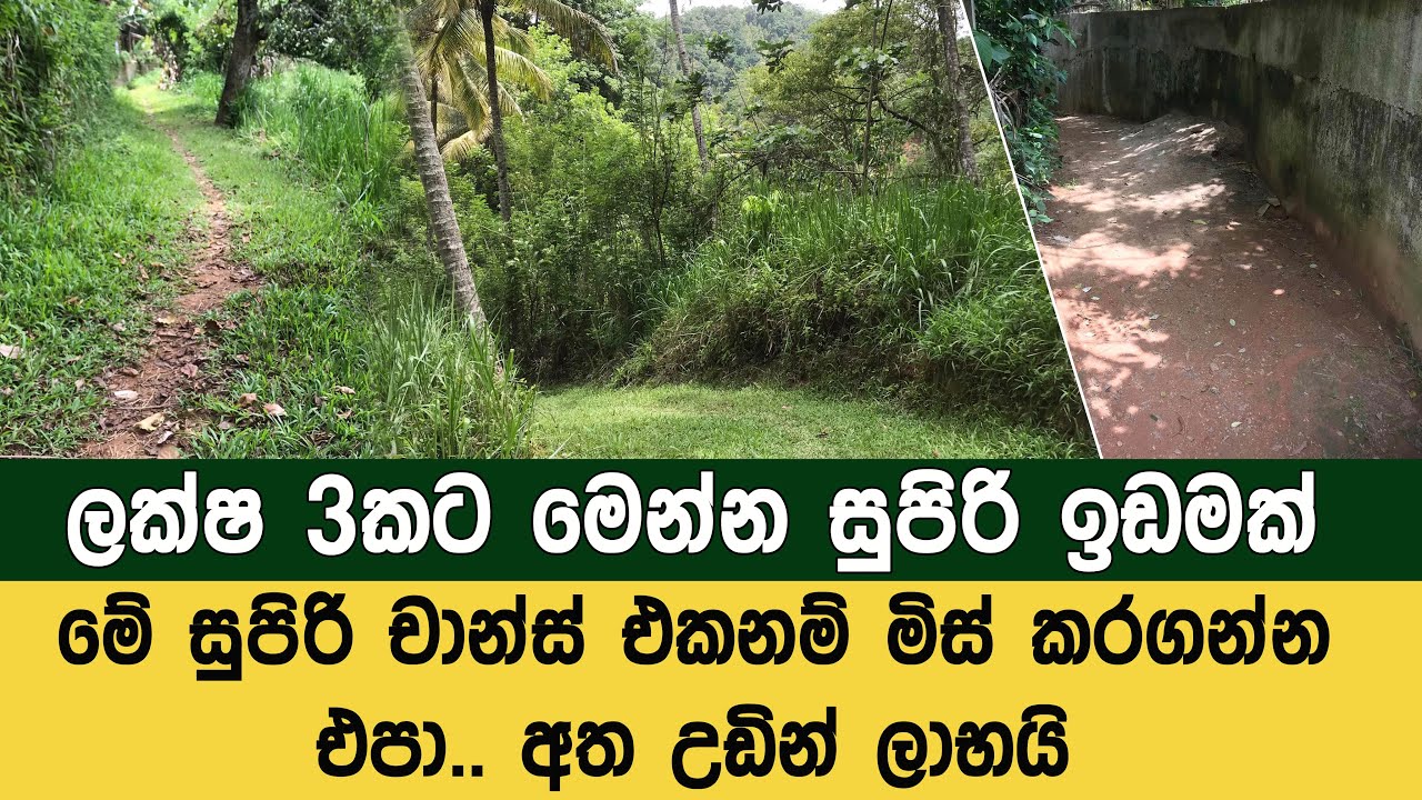 ලක්ෂ තුනකට මෙන්න සුපිරි ඉඩමක්...මේ චාන්ස් එකනම් මිස් කරගන්න එපා Land