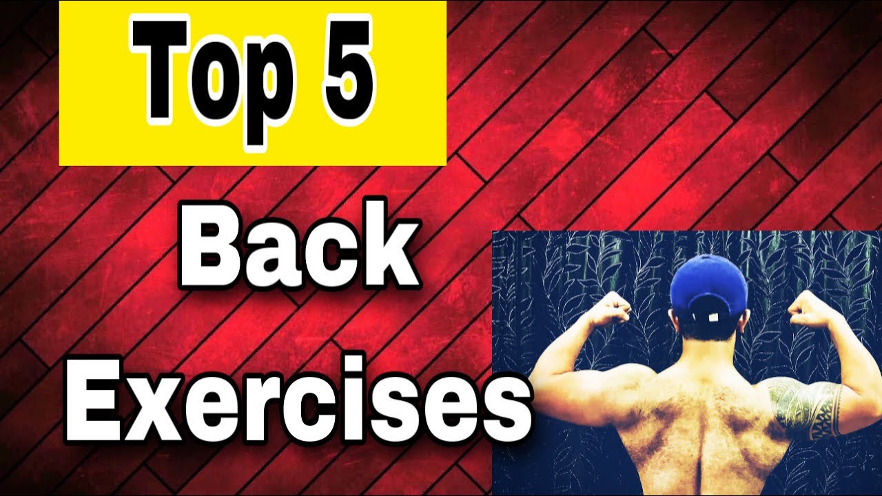 Back workout | Exercises for BIG BACK | Exercise for back | wings ...