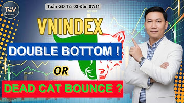 VN-Index: TẠO 2 ĐÁY HAY CÚ NÃY CON MÈO CHẾT? Chiến Lược Tuần 03 - -07/11