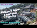  vlog  haedong yong gung temple     buddhist temple on the coast of busan south korea 