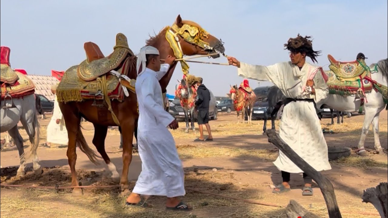 #مقلب عطني العود ديال بزاااف هد خونا😂😂😂