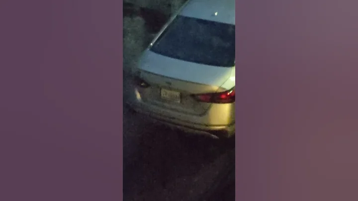 DAYSHAWN WILLIAMS HOPE THIS CAR AINT STOLEN TO BUT...
