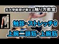 触診・ストレッチ９　上腕二頭筋・上腕筋