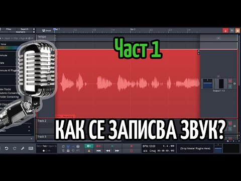 Видео: Как да запиша аудио запис