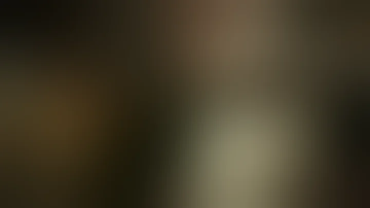 The Ballad of Buster Scruggs dual scene