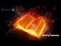 Frequency Warriors - Book of memories