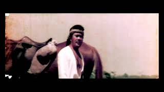 KAWULA MUDA - RHOMA IRAMA