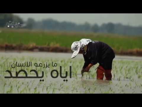 ما يزرعه الانسان اياه يحصد