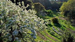 What is Permaculture? Learning at OAEC
