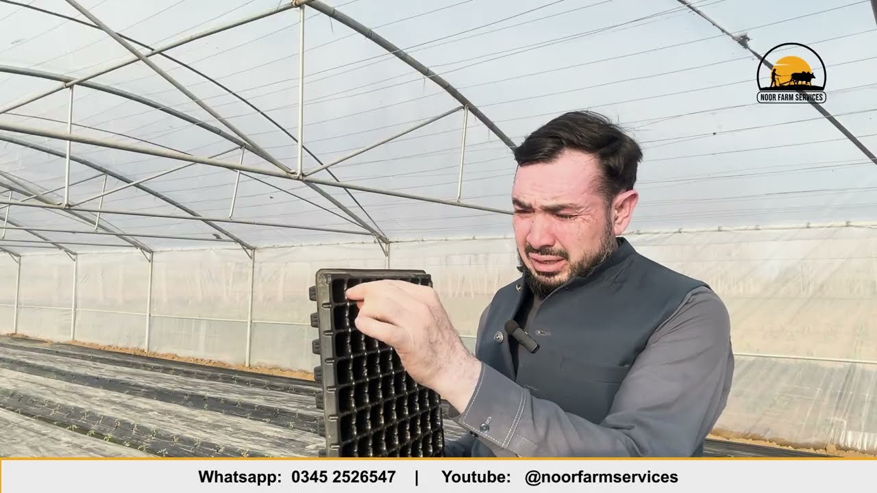 Nursery Raising of vegetables Step by Step Guide | 