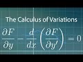 CALCULUS OF VARIATION :EULER LAGRANGE EQUATION