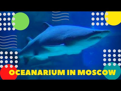 Video: Hva Er Et Oceanarium