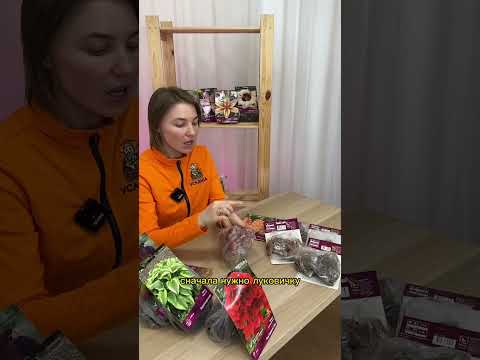 Чем обработать луковичные