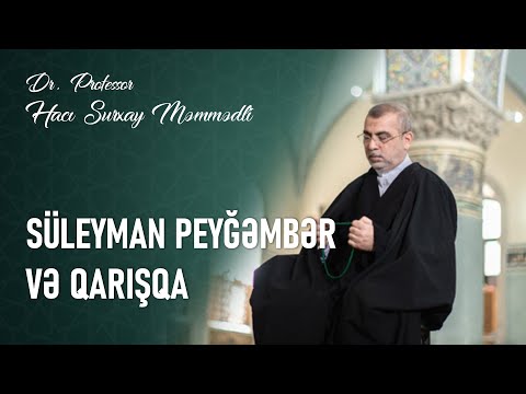 Süleyman Peyğəmbər və qarışqa. Haci Surxay Məmmədli.