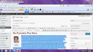 Promatrix Plus SEO Training for Wordpress Blogs