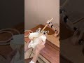 クルっと回して♪ 裏の刺しゅう糸の始末も簡単に!Nurge社マルチアジャスタブル刺しゅうスタンド♪卓上スタンドやシートスタンドとしても。#刺繍 #刺繍道具 #刺繍スタンド #ホビーラホビーレ