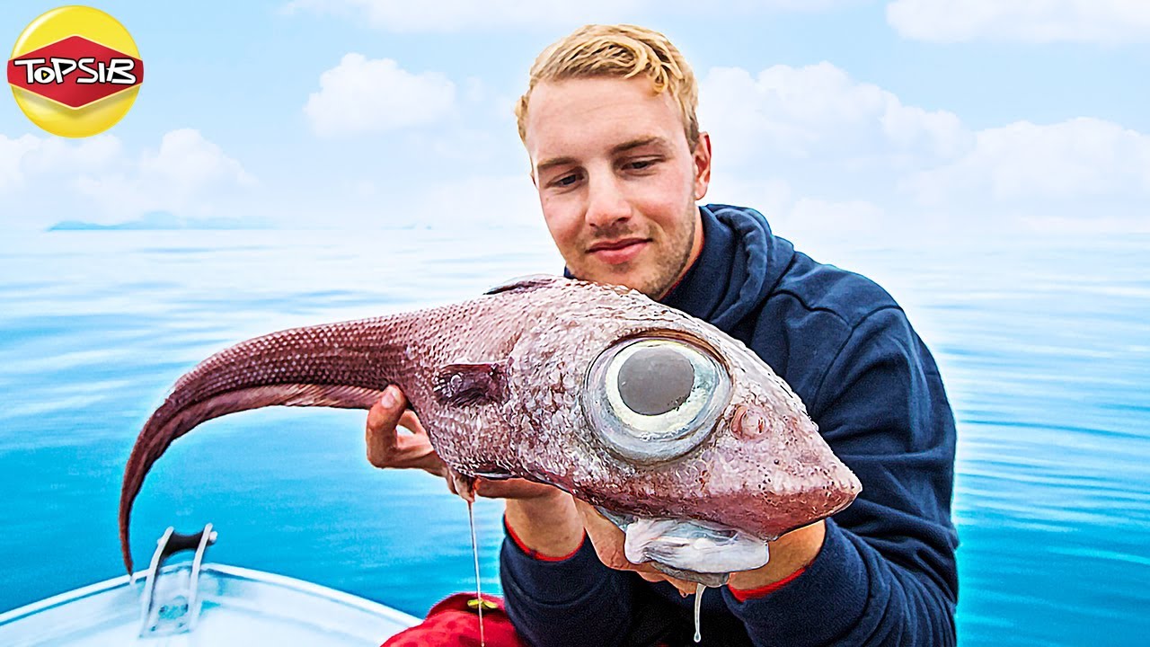 Makhluk Laut Paling MISTERIUS yang Ditangkap Nelayan