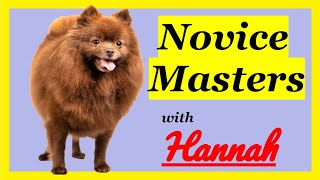 Novice Masters with Hannah the Pomeranian by Kathleen Tepperies CTDI, CAP3, FSG1 20 views 2 months ago 5 minutes, 9 seconds