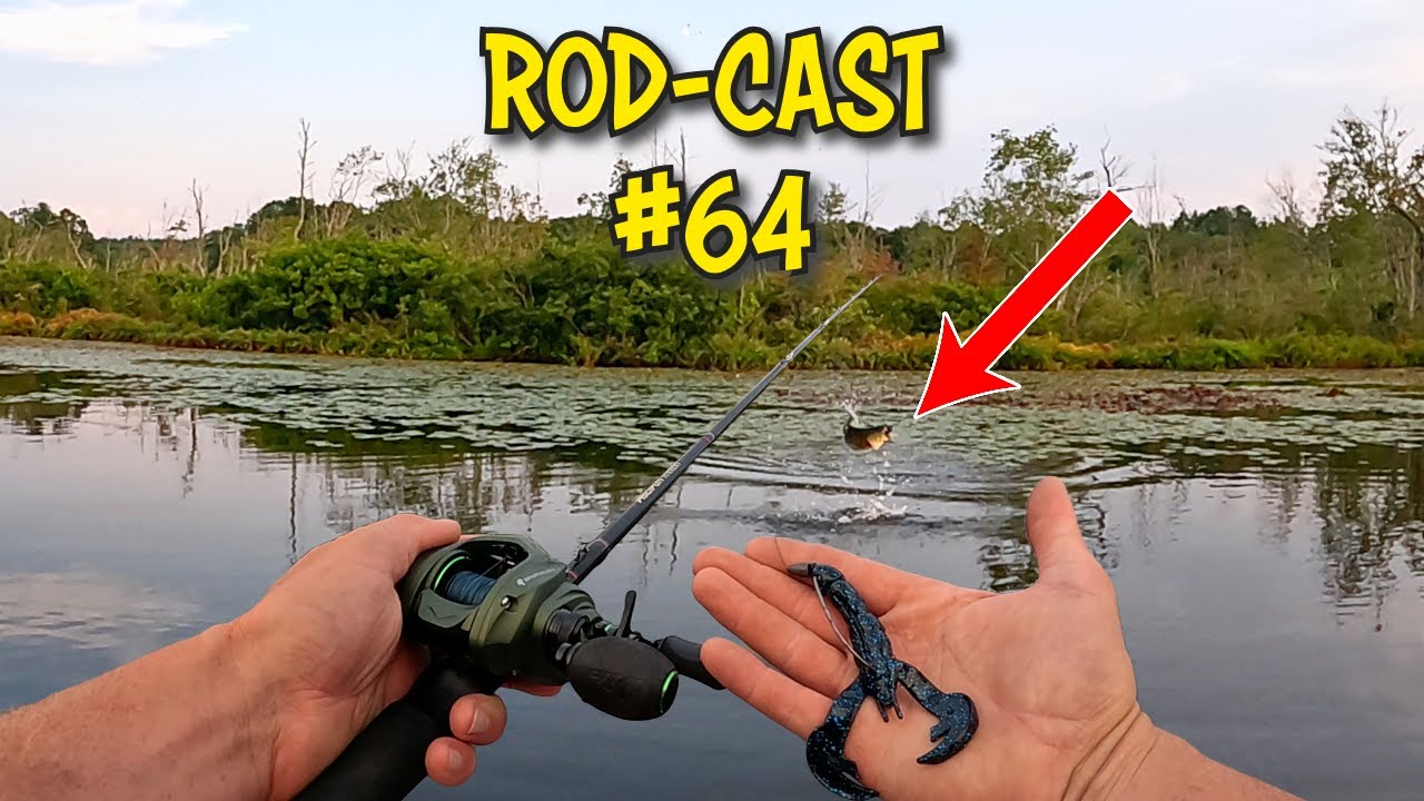 BIG BASS Fishing Breach! | Rod-Cast Ep: 64