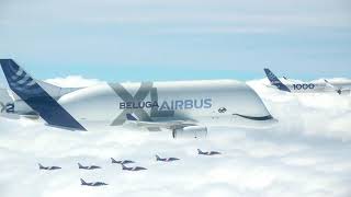 Airbus 50th Anniversary Formation Flight PAF Broll