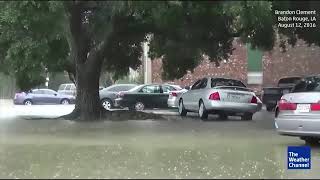 Williamson Eye Center Denham Springs Flood