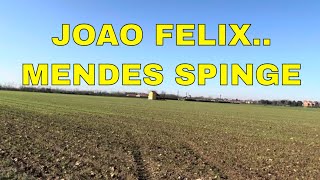 π³π³ JOAO FELIX SI O NO ? MENDES SPINGE FORTISSIMO π₯ - LOLLO INTO THE WILD