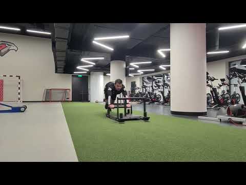 Low Handle Sled Sprint