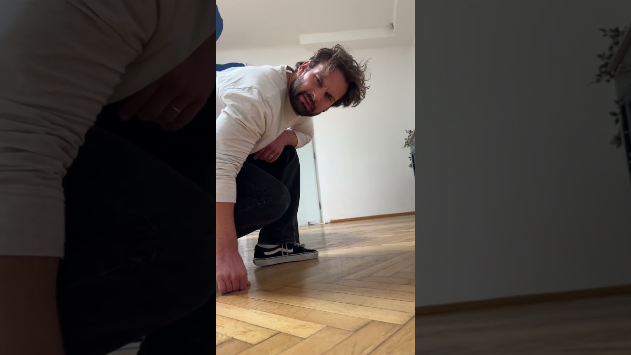 Die beliebteste Katze Österreichs 😂