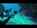 Howard FG16 Lobster