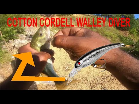 COTTON CORDELL WALLY DIVER 