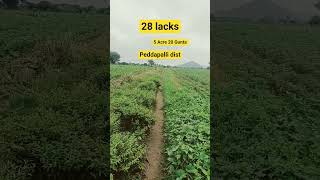5 Acre 20 Gunta Agriculture Land For Sale In Peddapalli Dist 28 Lacks Acre