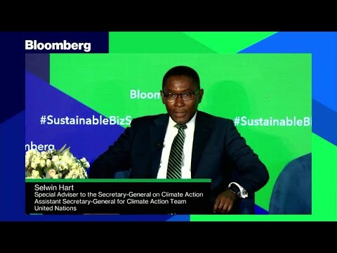 UN's Selwin Hart on Net-Zero Pledges, Loss & Damage Fund