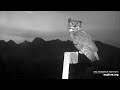 šonakt ūpis tumsu sagaidīja un pavadīja.  01.10.2020 /Charlo Montana Osprey Nest/