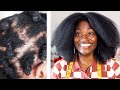 I used hair growth oil for ONE HUNDRED DAYS STRAIGHT. | 4C Natural Hair