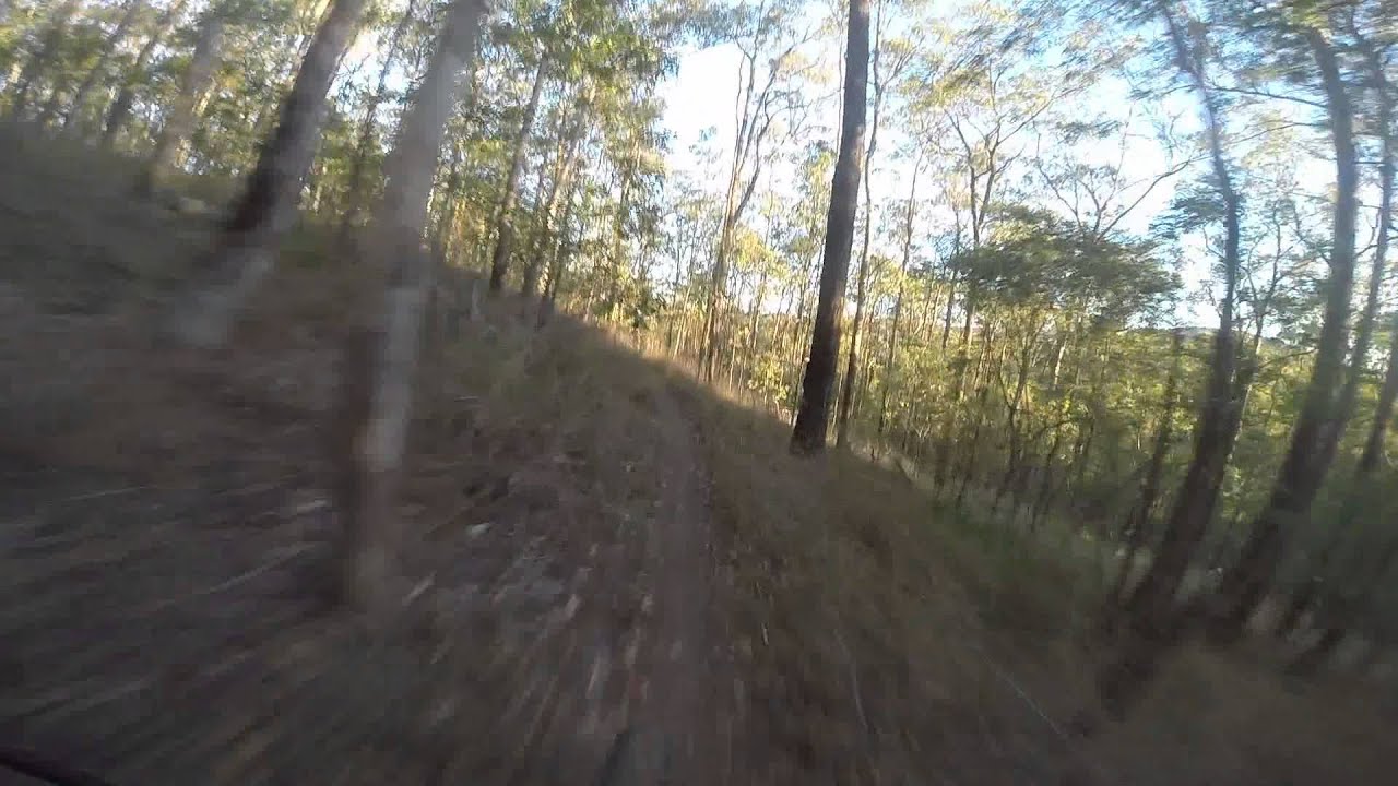 "Sunset" mountain bike trail Ironbark Gully, Samford Conservation