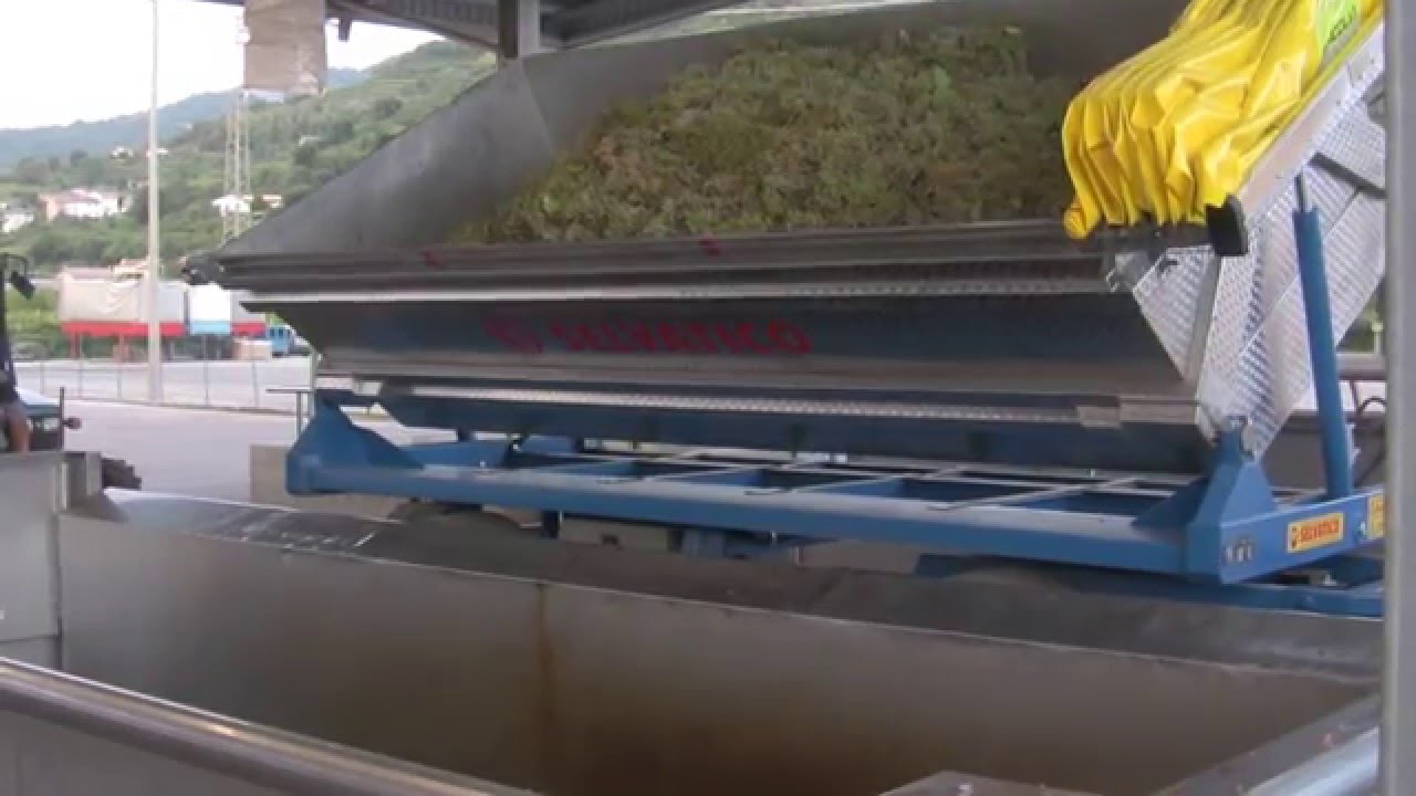 RIMORCHIO VASCA INOX "SELVATICO" SV12T -DUE ASSI - Trasporto Uva e Mosto