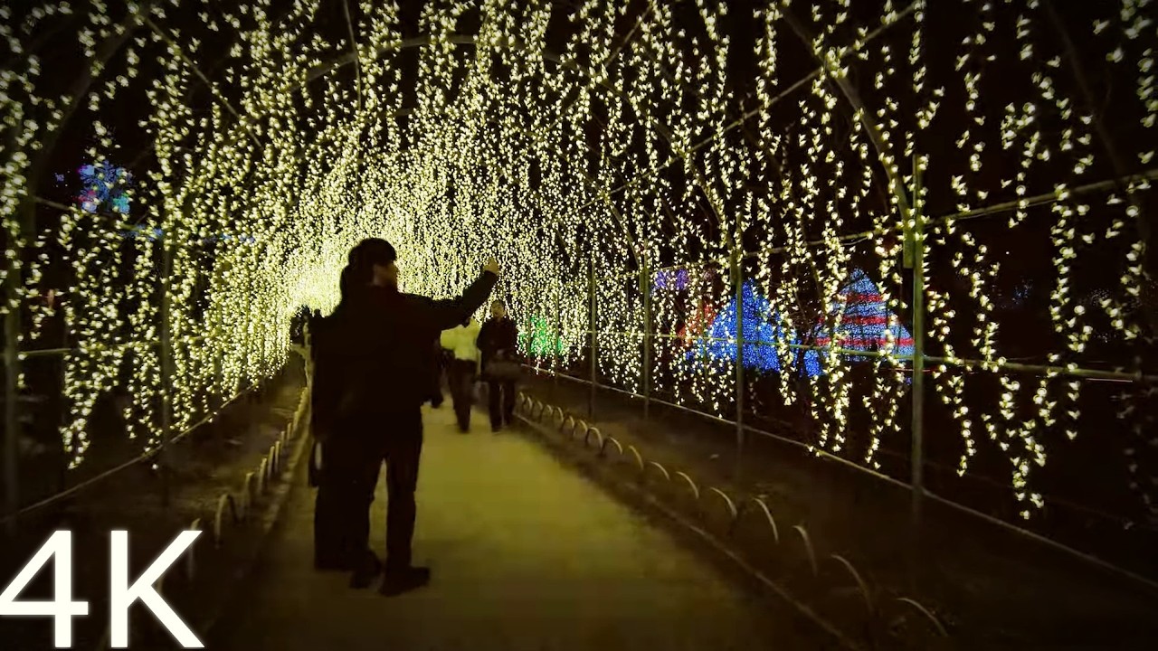 [4K] Night Walk in Ashikaga : Japan