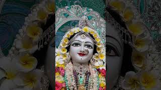 Shree Radha Radha #krishna​​​​​​​ #govardhan​​​​​​​ #vrindavan​​​​​​​ #premmandir